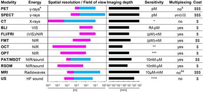 How Non-invasive in vivo Cell Tracking Supports the Development and Translation of Cancer Immunotherapies